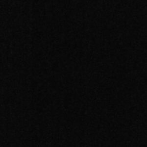 Meet your Posher, Ernest